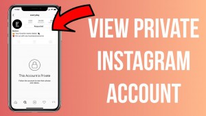 how-to-see-private-instagram.jpg