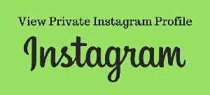 instagram-profile-viewer.png